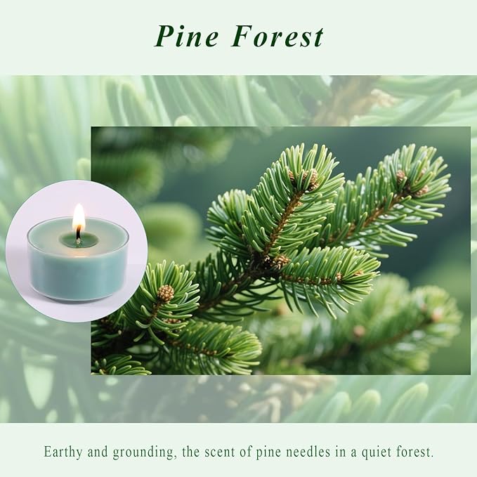 Pine Forest Scented Tea Lights Candles – Pine Green – 6 Hour Burn – 100% Palm Wax – Scented Tealight Candles for Christmas, Winter Holidays, Festive Decor – 48 Pack Scent Votive Candle