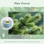 Pine Forest Scented Tea Lights Candles – Pine Green – 6 Hour Burn – 100% Palm Wax – Scented Tealight Candles for Christmas, Winter Holidays, Festive Decor – 48 Pack Scent Votive Candle