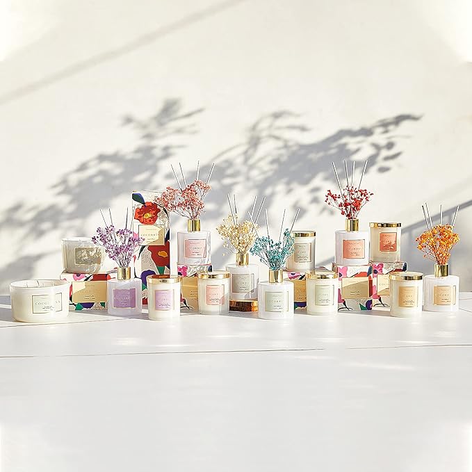 Cocorrína Premium Reed Diffuser Set with Preserved Baby's Breath & Cotton Stick Coconut Lime | 6.7oz Scent Fragrance Oil Diffuser for Bedroom Bathroom Home Décor