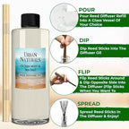 Urban Naturals Reed Diffuser Oil Refill Ocean Mist Sea Salt with Salt Spray, Violet Leaf, Sea Grass, Driftwood 8 oz + Free Reed Sticks, Made in The USA
