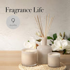 LAFCO New York Signature Reed Diffuser, Star Magnolia - 15 oz - Up to 9 Months Fragrance Life - Reusable, Hand Blown Glass Vessel - Natural Wood Reeds - Made in The USA