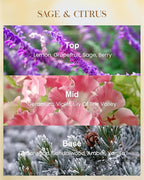 M&SENSE Sage Citrus Scented Natural Soy Wax Candle, 14.1oz 60 Hours Long Lasting Slow Burning Candles for Home Decor, Aromatherapy Candle for Stress Relief