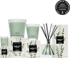 NEST New York Reed Diffuser, Wild Mint & Eucalyptus - 5.9 fl oz - Fragrance for Up to 90 Days - Reusable, Refillable Glass Holder - Includes 8 All-Natural Reed Sticks - Flame Free