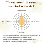 Hasegawa Hyakurakuko Premium Japanese Sandalwood Incense - Long Type, 40 Sticks with Aluminum Holder, 20-30 Min Burn Time, Made in Japan 線香 百楽香 (Patchouli)