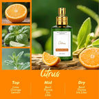 Room Spray Odor Eliminator 3 Pack, Natural Essential Oil Air Freshener Spray for Home Bathroom and Kitchen, Lavender, Citrus, Eucalyptus