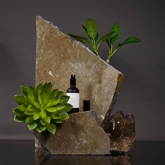 ENVIRONMENT Inspired by 5-Star Hotels DBCH Room Spray, 100ml Air Freshener (Green Tea | Orange | Lemongrass) Home Fragrance Accessories, Room Perfume, Room Deodorizer, Vegan & Cruelty-Free