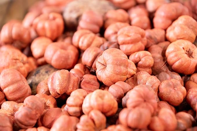 ANDALUCA Natural Vase Fillers | Fall Fragrance Scented Putka Pods Potpourri Home Décor (Putka Pods)