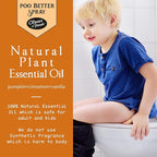 Clean-n-Fresh Toilet Spray 6.8 Fl.Oz, Pumpkin, Bathroom Air Fresheners Spray, Eliminates Bathroom Toilet Odor, for Home or Work, Pumpkin, Cinnamon & Vanilla Scent