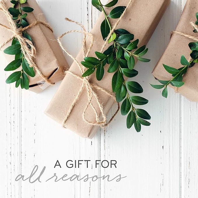 Thymes Frasier Fir Candle - Gilded Collection - Wood Grain Ceramic Design with 24-Karate Gold Rim - Mountain Fresh Fragrance - Elegant Winter Candle Scents - Gifts for Women & Men (3-Wick, 20 oz)