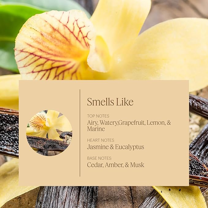 Aera Mini Vanilla - Essential Oil for Home - Enveloped in Comfort Fragrance - Notes of Vanilla, Tonka and Bourbon - Scent Refill - Capsule Size Works with Mini Diffuser
