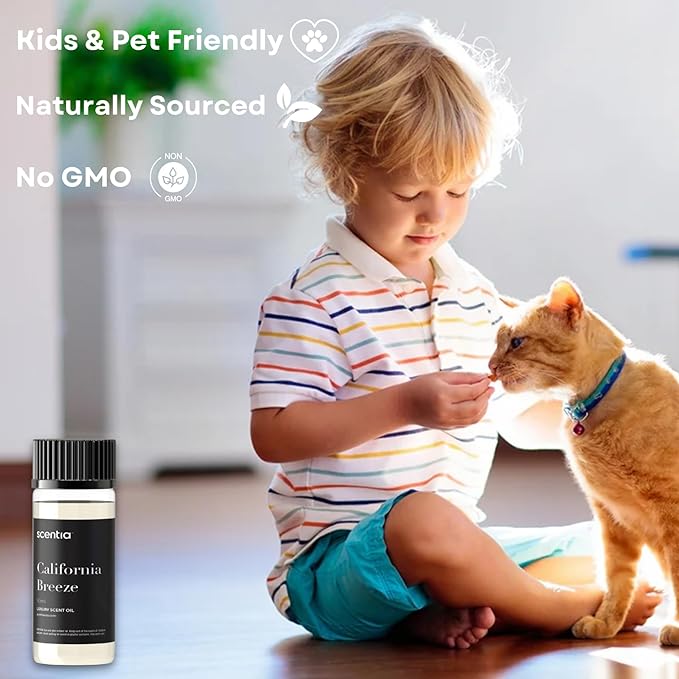 Hotel Diffuser Oil Inspired by The Delano Beach Club Hotel Scent - 50 mL 1.69 fl oz - Fragrance Oil Blend Orange, Green Tea & Jasmine for Aromatherapy Diffusers - California Breeze