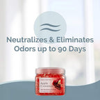 SMELLS BEGONE Odor Eliminator Gel Beads - 12 oz, Pack of 2 - Eliminates Odor in Bathrooms, Cars, Boats, RVs & Pet Areas - Air Freshener - Made with Essential Oils - Apple Cinnamon Scent