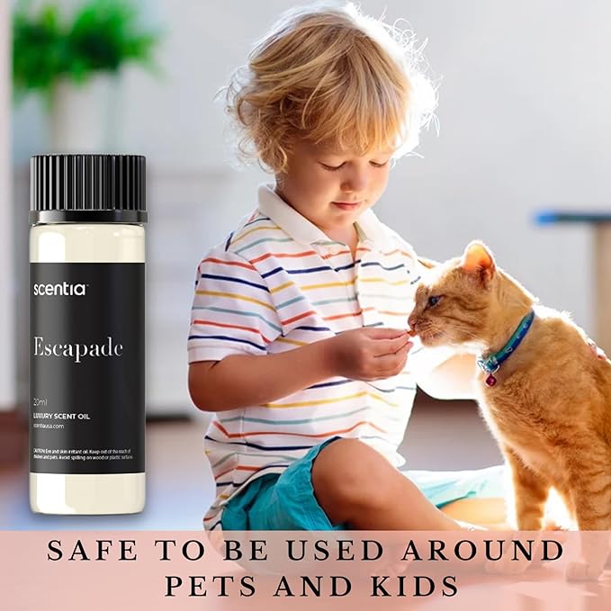 Hotel Diffuser Oil Inspired by 5-Star Hotel Scent - 20 mL 0.67 fl oz - Aromatherapy Fragrance Oil Inspired by 5 Star Hotel - Escapade