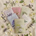 Ocean Scented Sachet Bags - 12 Pack Home & Car Freshener, Odor Eliminator for Closets, Rooms, Drawers, Wardrobes, Toilets, Long - Lasting 360 - Day Fragrance