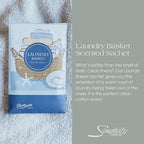Simplicity Scents Laundry Basket Scented Sachets Pack of 6, Everyday - Long-Lasting Scented Bags, Home Fragrance, Air Freshener & Deodorizer for Closet, Room, Drawer, or Cars, Made in USA