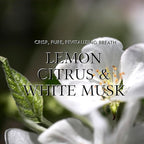 Reed Diffuser Set, 6.7oz(200ml) Fresh Scented Diffuser for Home with 6 Sticks,Home Fragrance Scent Essential Oil Stick Diffuser for Bathroom Shelf Decor