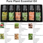 HIQILI Woodsy Fragrance Oil Set for Aromatherapy Diffuser, Ideal for DIY Candles & Perfume Making, Massage Oil - Cedarwood, Wintergreen, Frankincense, Vetiver, Rosewood, Cypress - 6x10ml