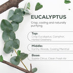 Aroma Country 100% Pure Eucalyptus Essential Oil – Organic & Undiluted Diffuser Oil, Humidifier, Steam Room & Shower Aromatherapy – Natural, Therapeutic Grade Oil for Skin, Sauna, & Home (4 Fl. oz)