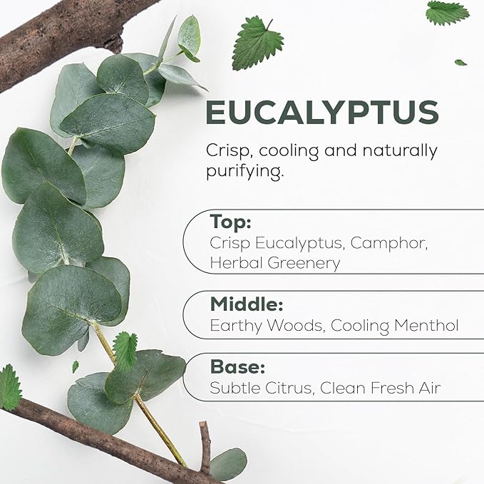 Aroma Country 100% Pure Eucalyptus Essential Oil – Organic & Undiluted Diffuser Oil, Humidifier, Steam Room & Shower Aromatherapy – Natural, Therapeutic Grade Oil for Skin, Sauna, & Home (4 Fl. oz)