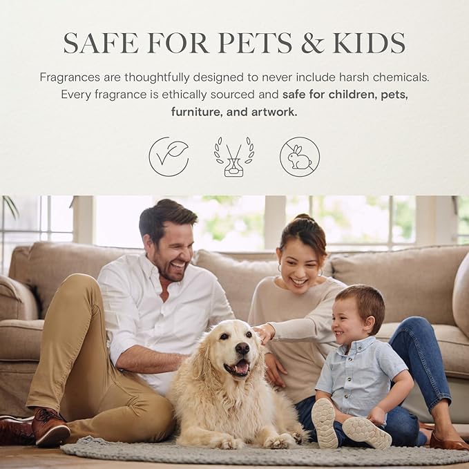 Diffuser Oil - Beach Resort | Aromatherapy Fragrance Inspired by 5-Star Hotels | Luxurious Scent with Notes of Bergamot, Ocean, Peony with Amber & Sandalwood (120 mL)