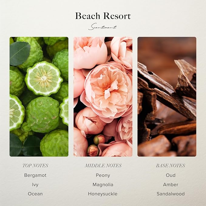 Diffuser Oil - Beach Resort | Aromatherapy Fragrance Inspired by 5-Star Hotels | Luxurious Scent with Notes of Bergamot, Ocean, Peony with Amber & Sandalwood (120 mL)