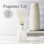 LAFCO New York Reed Diffuser Refill, Champagne - 8.4 oz - Up to 4-Month Fragrance Life - Includes Natural Wood Reeds - Free of Dyes & Propellants - Made in The USA