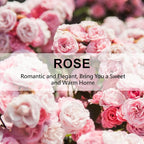 Large 12 Packs Rose Hanging Closet Deodorizer Air Freshener Long Lasting Scented Sachets Smell Goods for House