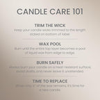 Yankee Candle Large Jar Scented Candle with up to 150 Hour Burn Time, Premium Plant Wax Blend for Consistent Burn, 22 oz Jar Candle with Room Filling Fragrance, Amber & Sandalwood