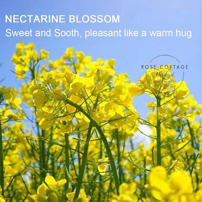 Large 12 Packs Apricot Blossom Hanging Closet Air Freshener Scented Sachets Long Lasting Smell Goods