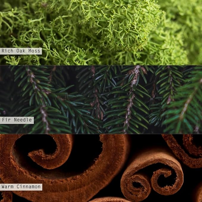 ILLUME Noble Holiday Balsam & Cedar Small Crackle Glass Candle