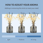 Brakula Reed Diffuser Set, 6.09 fl oz (180 ml)- Eucalyptus & Wild Mint with 8 Reed Sticks, Home Fragrance Reed Diffuser for Bathroom Shelf Decor