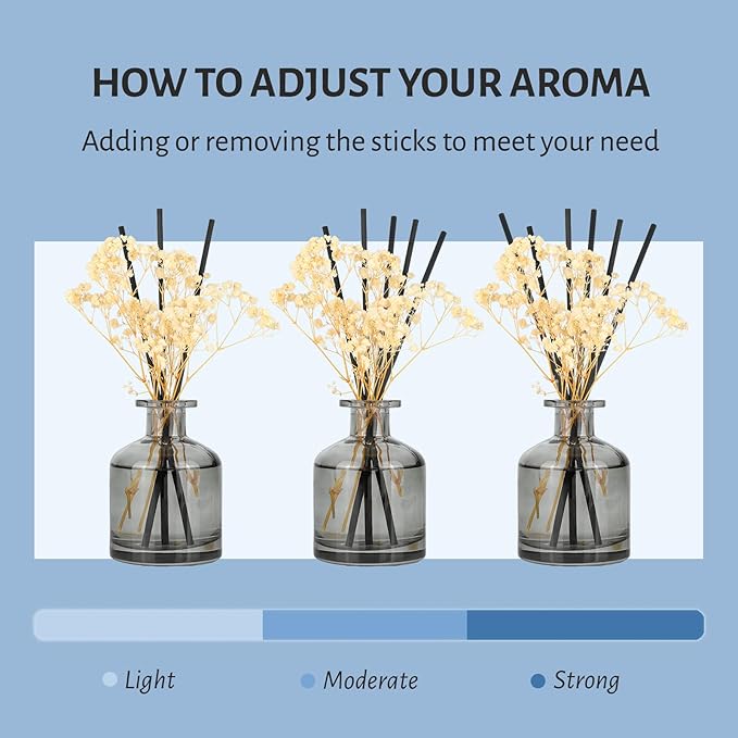 Brakula Reed Diffuser Set, 6.09 fl oz (180 ml)- Eucalyptus & Wild Mint with 8 Reed Sticks, Home Fragrance Reed Diffuser for Bathroom Shelf Decor