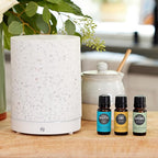 Edens Garden Essential Oils 3 Set – 100% Pure Therapeutic Grade, Undiluted, Natural Aromatherapy Scents for Diffusers, Humidifiers, Massage & Yoga – Eucalyptus, Lemon & Peppermint, 10 ml/ 3 Pack