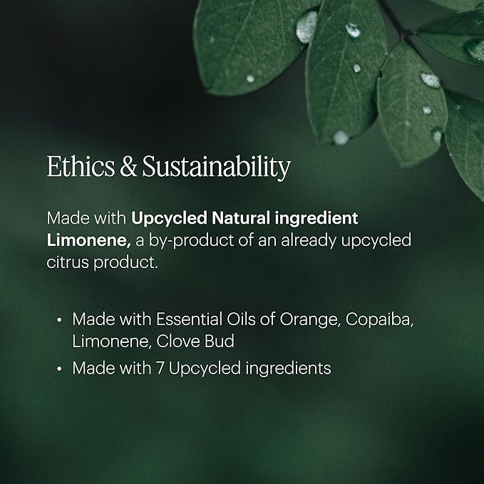 Aera Mini Rose - Essential Oil for Home - Fresh and Sensuous Fragrance - Notes of Himalayan Rose, Linden and Peony - Scent Refill - Capsule Size Works with Mini Diffuser