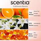 Hotel Diffuser Oil Inspired by The Delano Beach Club Hotel Scent - 20 mL 0.67 fl oz - Essential Oil Blend Orange, Green Tea & Jasmine for Aromatherapy Diffusers - California Breeze