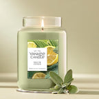 Yankee Candle Sage & Citrus Scented Candle, 22oz Large Jar with up to 150 Hour Burn Time, Giftable, Birthdays