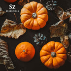 Pumpkin Spice Essential Oil Blend for Diffuser and Humidifier - 100% Pure and Natural - Rich Pumpkin Spice Scent, with Fruity and Spicy Overtones - Vegan - 0.17 floz (5 mL)