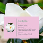 Aera Mini Curiosity - Essential Oil for Home - Pear and Redberries Fragrance - Notes of Magnolia, Lotus Flower and Citrus - Scent Refill - Capsule Size Works with Mini Diffuser