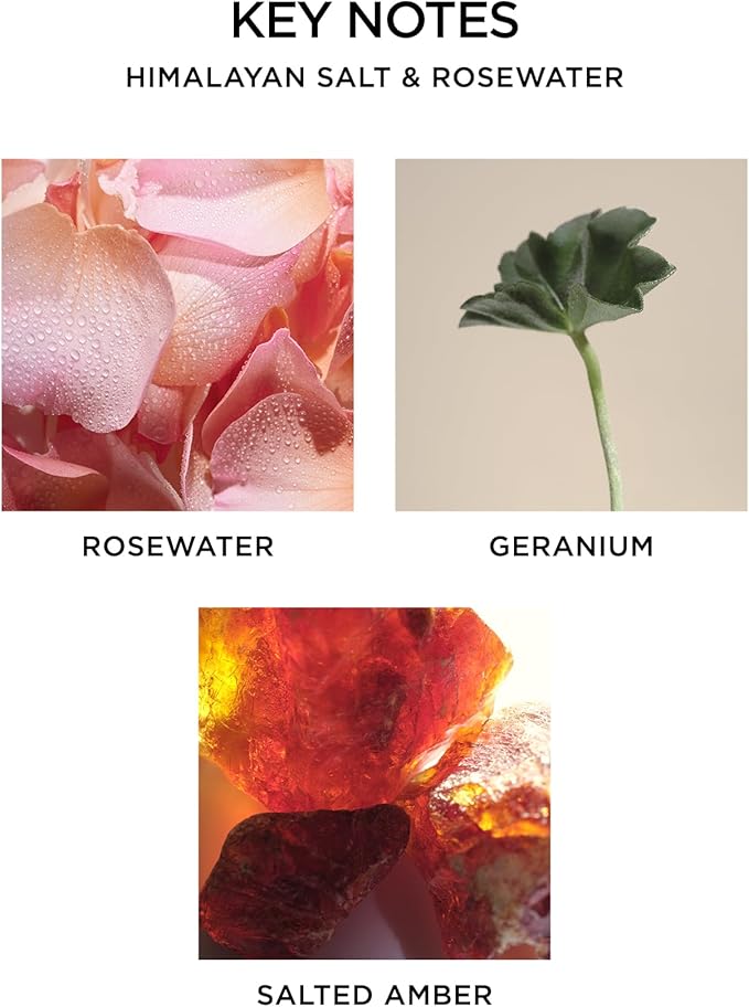 NEST New York Reed Diffuser, Himalayan Salt & Rosewater - 5.9 fl oz - Fragrance for Up to 90 Days - Reusable, Refillable Glass Holder - Includes 8 All-Natural Reed Sticks - Flame Free