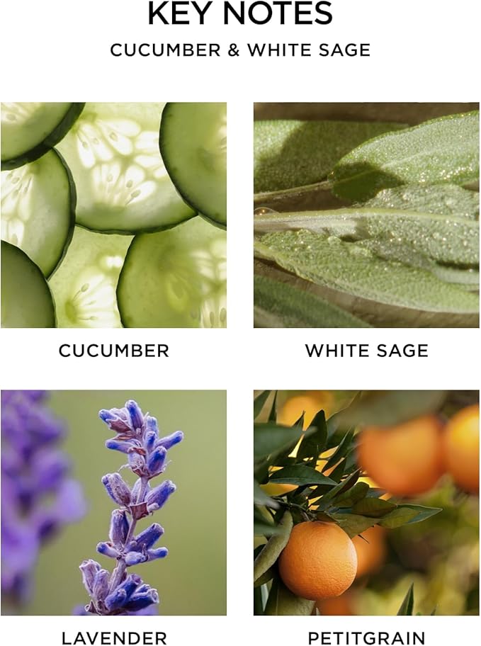 NEST New York Reed Diffuser, Cucumber & White Sage - 5.9 fl oz - Fragrance for Up to 90 Days - Reusable, Refillable Glass Holder - Includes 8 All-Natural Reed Sticks - Flame Free