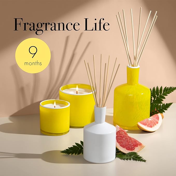 LAFCO New York Signature Reed Diffuser, White Grapefruit - 15 oz - Up to 9 Months Fragrance Life - Reusable, Hand Blown Glass Vessel - Natural Wood Reeds - Made in The USA