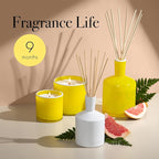 LAFCO New York Signature Reed Diffuser, White Grapefruit - 15 oz - Up to 9 Months Fragrance Life - Reusable, Hand Blown Glass Vessel - Natural Wood Reeds - Made in The USA