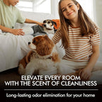 Fir & Forest Room Spray 2 Pack, 3.4oz/100ml Each – Long-Lasting Air Freshener & Odor Eliminator for Home, Linen, Bathroom, Bedroom & Office, Concentrated Room Spray