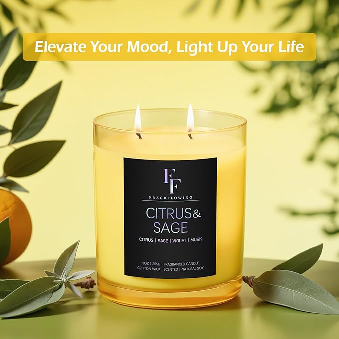 Citrus & Sage Scented Candle, 2-Wick Luxury Soy Wax Candle, 9 oz Aromatherapy Candle Home Fragrance Candles Gift