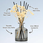 Brakula Reed Diffuser Set, 6.09 fl oz (180 ml)- Eucalyptus & Wild Mint with 8 Reed Sticks, Home Fragrance Reed Diffuser for Bathroom Shelf Decor