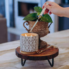 Classic Damask Pattern Large 16 Ounce Stone/Wax Scented Votive Jar Candle for Home or Office, Bayou Blossom