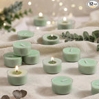 Eucalyptus Drift Scented Tea Lights Candles – Grayish Green – 6 Hour Burn – 100% Palm Wax – Scented Tealight Candles for Winter Holidays, Christmas Calm, Spa Vibes – 48 Pack Scent Votive Candle