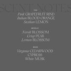 Antica Farmacista Home Ambiance Diffuser, Grapefruit, 8.45 Fl Oz