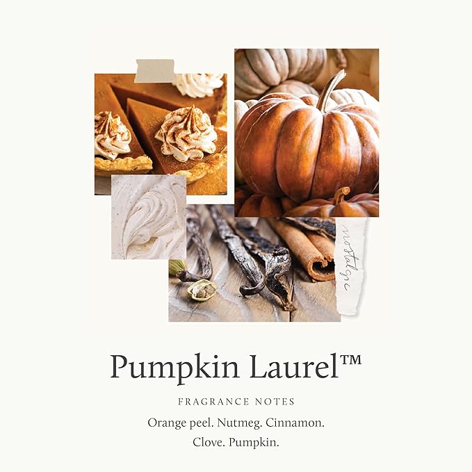 Thymes Home Fragrance Mist – Room Air Fresheners for Home Long Lasting – Air Freshener Spray – Fall Room Spray with Notes of Nutmeg, Cinnamon, Clove, Pumpkin & Orange Peel (Pumpkin Laurel, 3 oz)