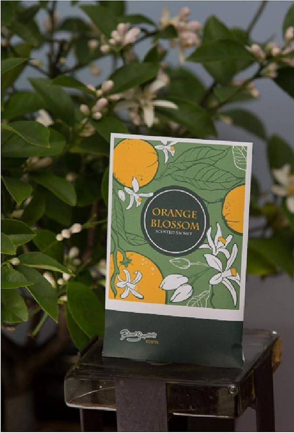 Orange Blossom Scented Sachets Pack of 3, Spring and Summer - Long-Lasting Scented Bags, Home Fragrance, Air Freshener & Deodorizer for Closet, Room, Drawer, or Cars, Made in USA